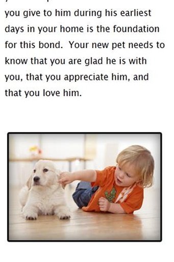 Tips for adopting a dog截图2