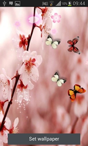 Sakura 2015 Live Wallpaper截图7