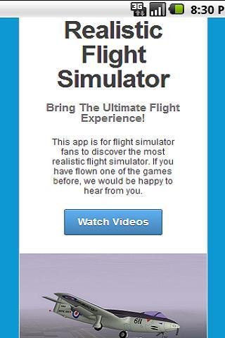 The Most Realistic Flight Sim截图1