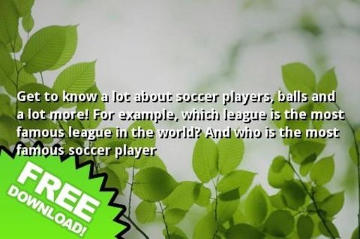 Soccer Quizzes截图2