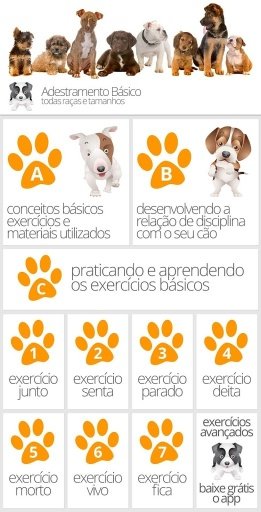 Adestramento Básico Para Cães截图2