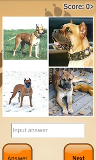 Dogs Quiz Online截图3