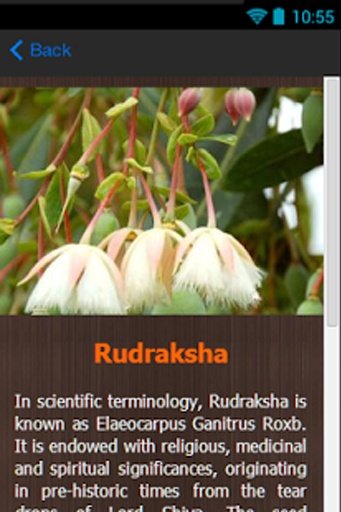 Rudraksha Therapy截图4