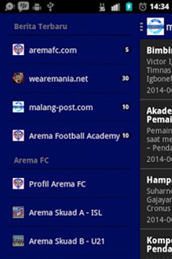 Arema FC截图7