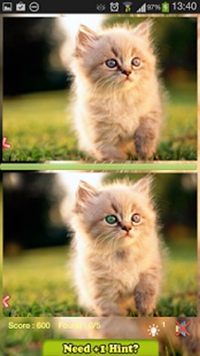 Find Difference - Kitty Cat截图3