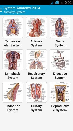 Human Anatomy System截图3