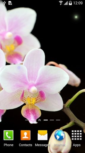 Orchids Live Wallpaper截图6