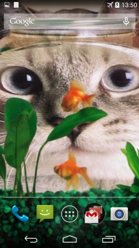 Funny Cats Live Wallpaper截图5