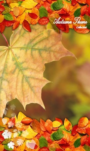 Autumn Leaves Dance Wallpaper截图2