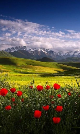 FREE SCENERY WALLPAPERS截图3