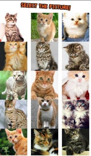 Baby Cat Puzzle截图3