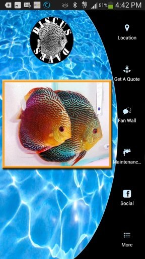 Discus Dave's截图1