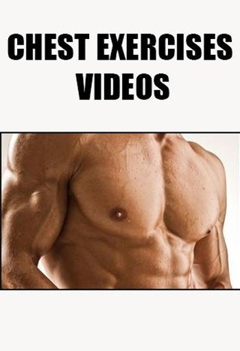 Chest Exercises Videos截图1