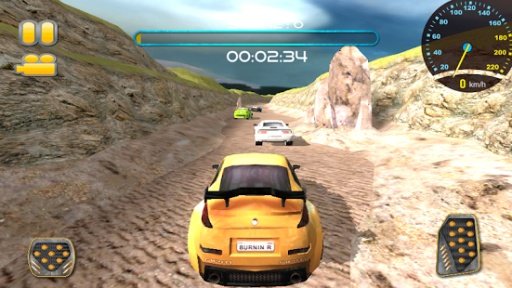 Desert Rally 3D截图2