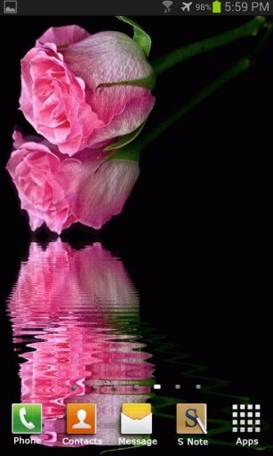 Pink Roses Live Wallpaper截图5