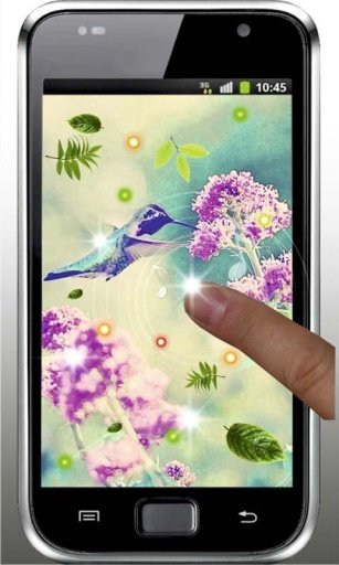 Humming Bird HQ live wallpaper截图7