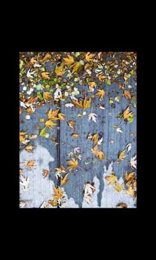 Abstract Autumn Live Wallpaper截图2