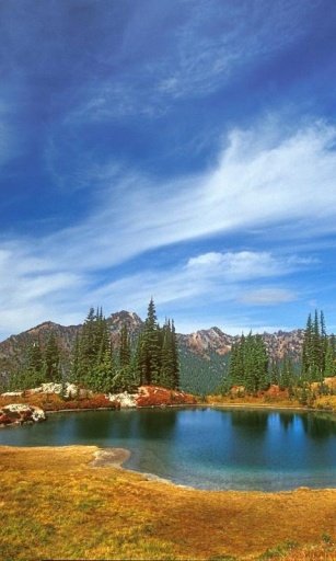 FREE SCENERY WALLPAPERS截图2