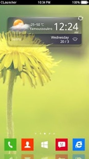 CLauncher Theme Flower截图2