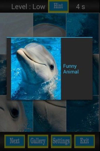 Funny Animal Puzzle Games截图6