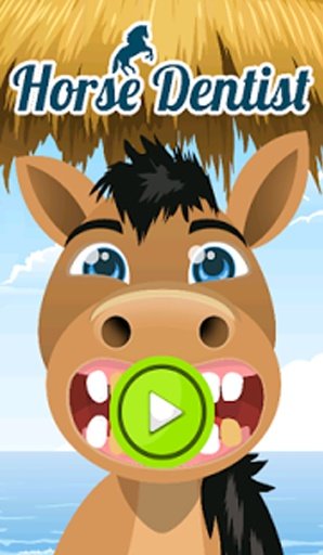 Horse Dentist截图2