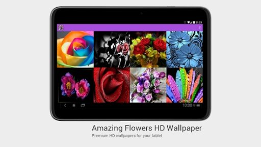 Amazing Flowers HD Wallpaper截图1