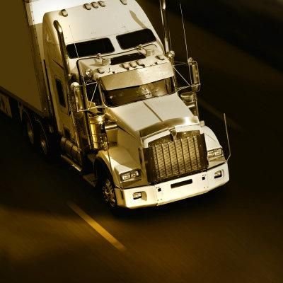 Truck Game Simulation 3D截图4