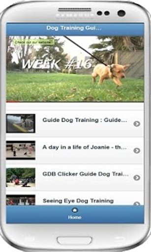 Dog Training Guide (VDO)截图1