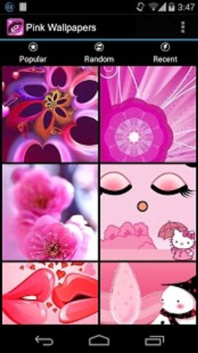 Pink Wallpapers &amp; Backgrounds截图2