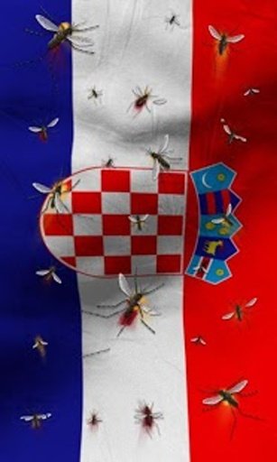 Croatia flag lwp Free截图6