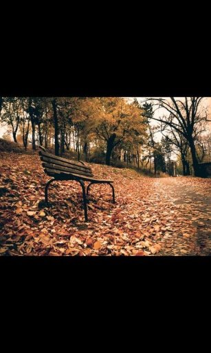 Lonely Autumn Live Wallpaper截图6