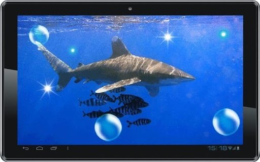 Shark Predator live wallpaper截图6