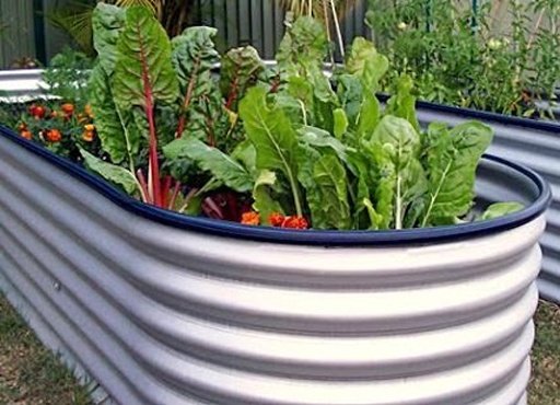 Raised Bed Garden Home Design截图9