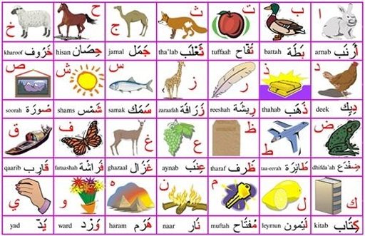 Belajar Bahasa Arab截图4