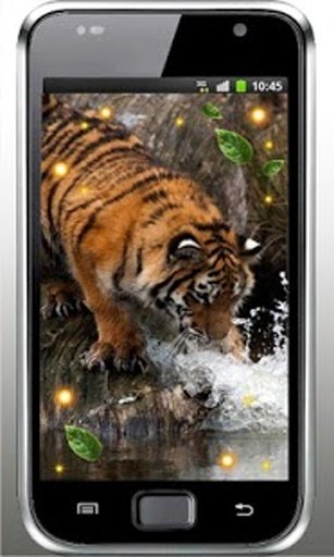 Wild Tigers live wallpaper截图3