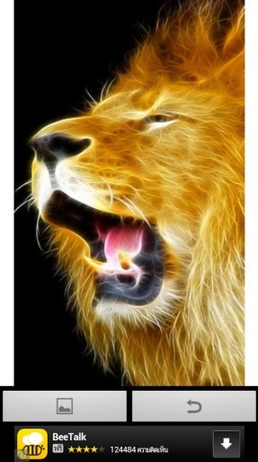 Big lion wallpaper截图3