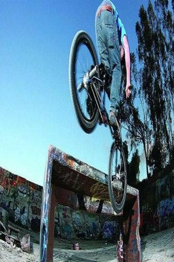 Extreme BMX截图9