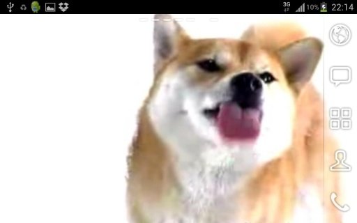 Dog Screen Cleaner Live Wallpaper截图5