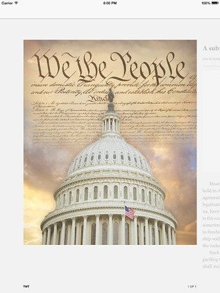 TWT Constitution Pocket App截图1