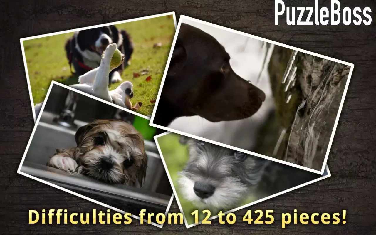 Puppy Jigsaw Puzzles FREE截图5