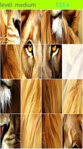 Angry Lion Game截图1