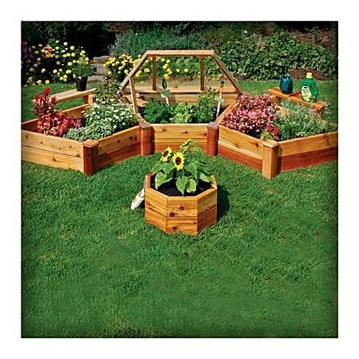 Raised Bed Garden Home Design截图2