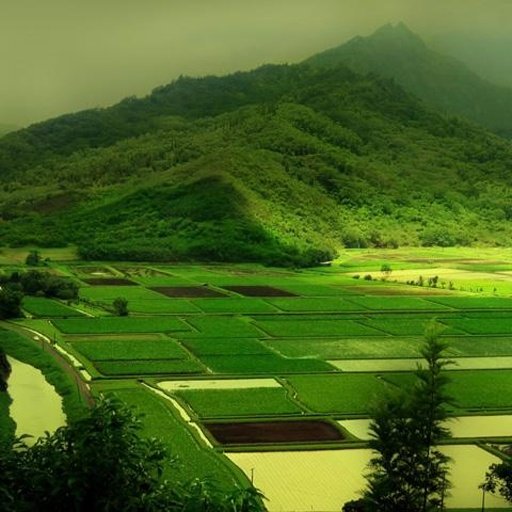 landscape jigsaw截图3