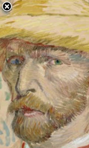 Vincent Van Gogh Gallery截图2