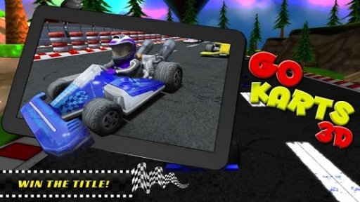 Go Karts 3D截图6