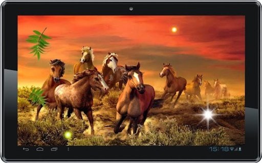 Horses Games live wallpaper截图5