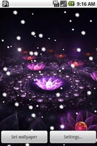 4D Flowers Live Wallpaper截图9