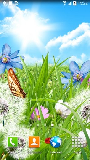 Summer Flowers Live Wallpaper截图2