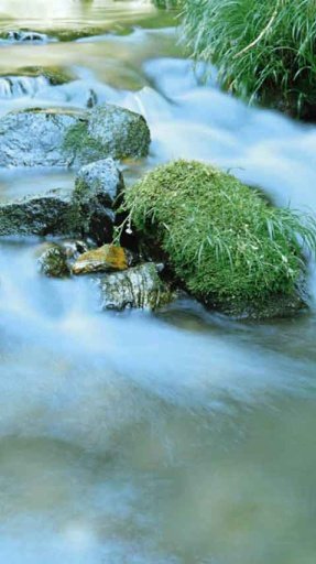 Mountain Stream Live Wallpaper截图3