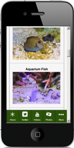 Aquariums For Beginners截图3